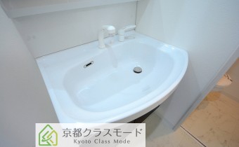 シャンプードレッサー