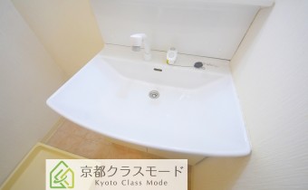 シャンプードレッサー