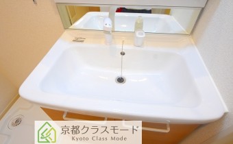 シャンプードレッサー