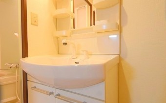 シャンプードレッサー