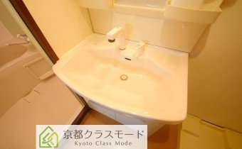 シャンプードレッサー