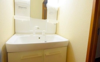 シャンプードレッサー