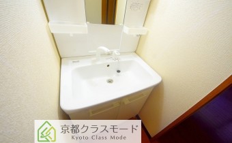 シャンプードレッサー