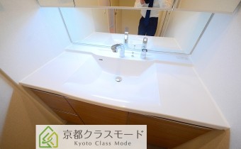 シャンプードレッサー