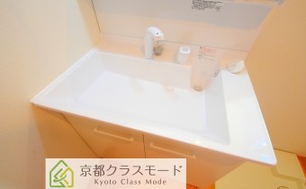 シャンプードレッサー