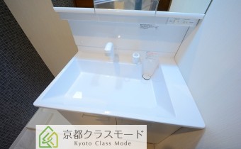 シャンプードレッサー