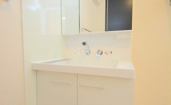 シャンプードレッサー