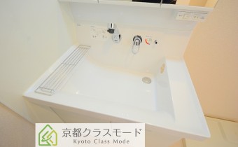 シャンプードレッサー