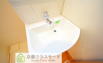 シャンプードレッサー