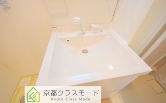 シャンプードレッサー