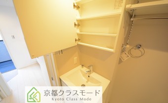 シャンプードレッサー