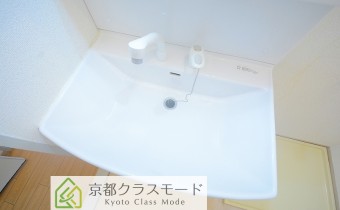 シャンプードレッサー