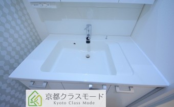 シャンプードレッサー