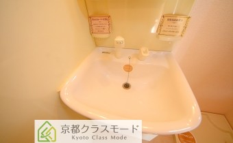 シャンプードレッサー