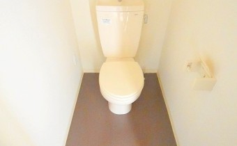 ウォシュレットトイレを取付ます。