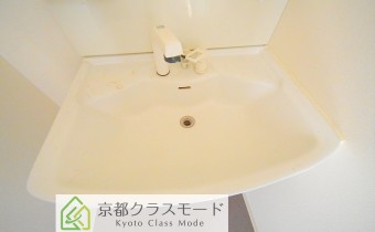 シャンプードレッサー