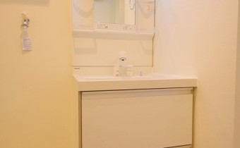 シャンプードレッサー