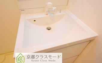 シャンプードレッサー