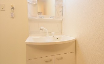 シャンプードレッサー