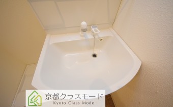シャンプードレッサー