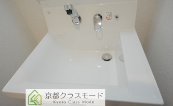 シャンプードレッサー