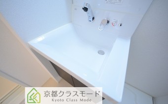 シャンプードレッサー