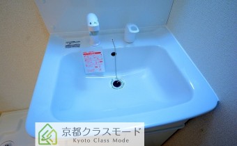 シャンプードレッサー