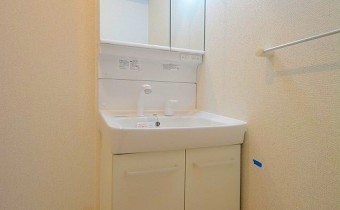 シャンプードレッサー