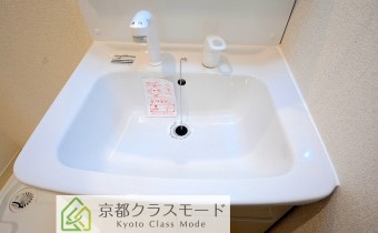 シャンプードレッサー