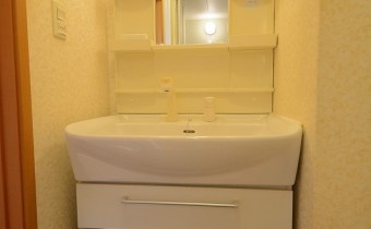 シャンプードレッサー