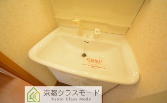 シャンプードレッサー