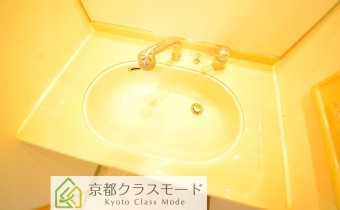 シャンプードレッサー