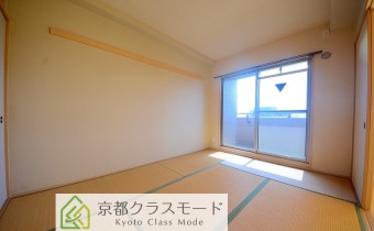和6