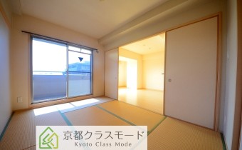 和6