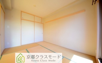 和6