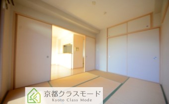 和6