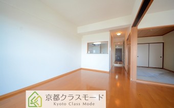 LDK11.5帖