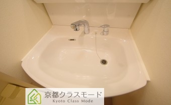 シャンプードレッサー