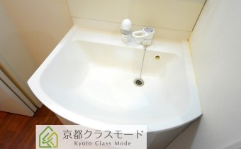 シャンプードレッサー
