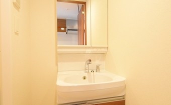 シャンプードレッサー※同マンション反転タイプの写真です