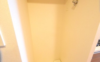 洗濯機置場※同マンション反転タイプの写真です