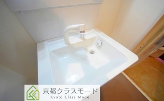 シャンプードレッサー