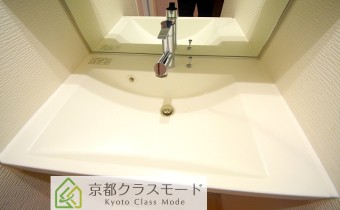 シャンプードレッサー