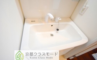 シャンプードレッサー