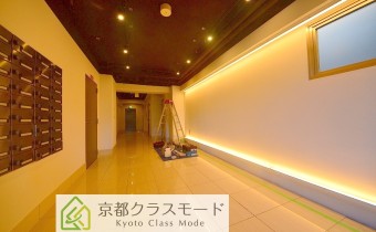 ホール