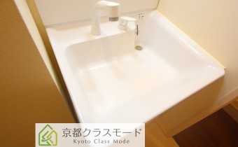 シャンプードレッサー