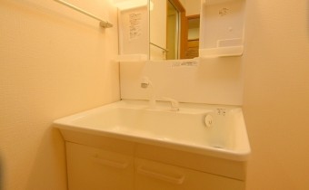 シャンプードレッサー※同マンション別室の反転タイプです