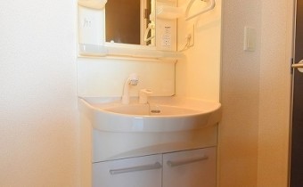 シャンプードレッサー