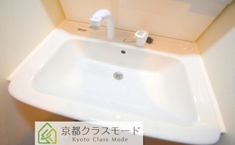 シャンプードレッサー