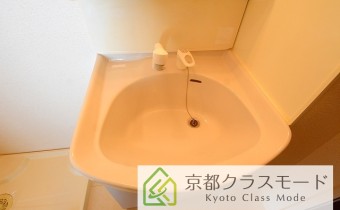 シャンプードレッサー